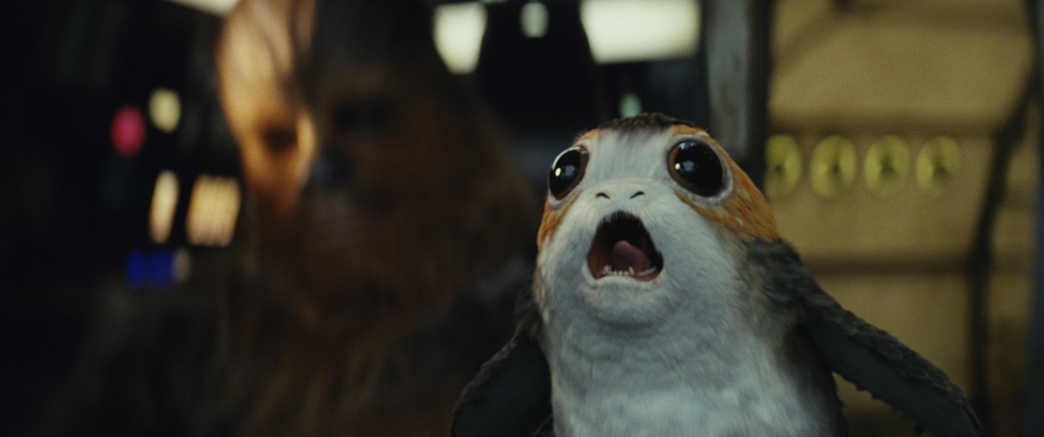Chewbacca z nowym kumplem